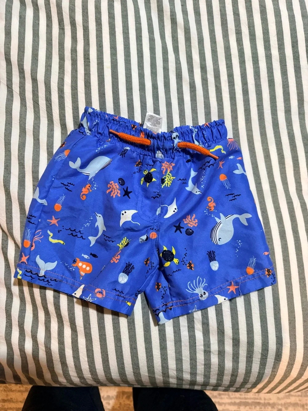 Blue Ocean Creatures Kids Swim Shorts